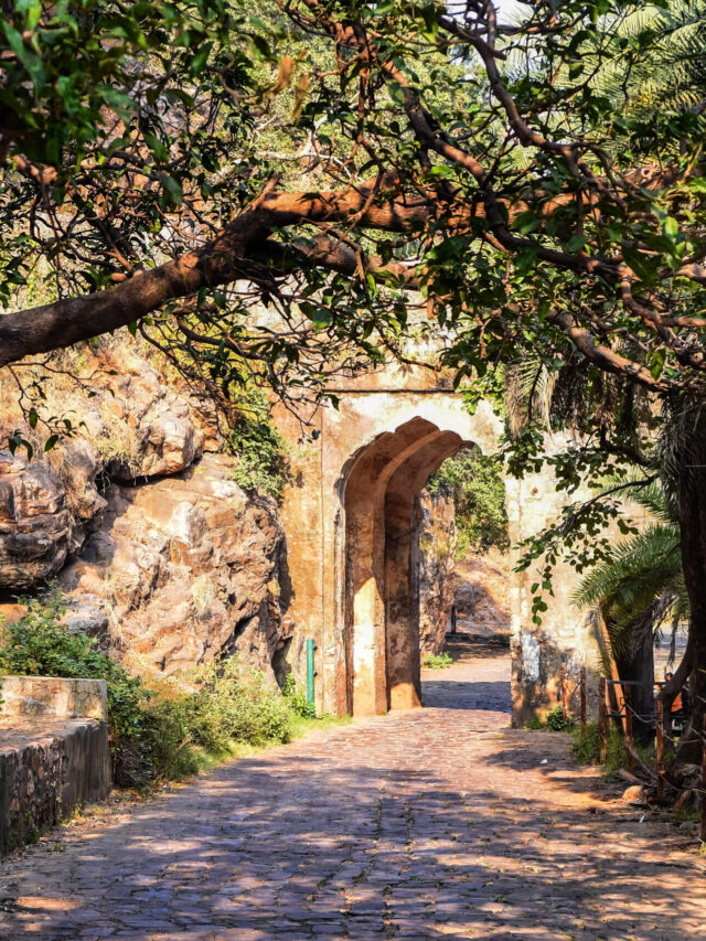 Ranthambore  – The Tiger City