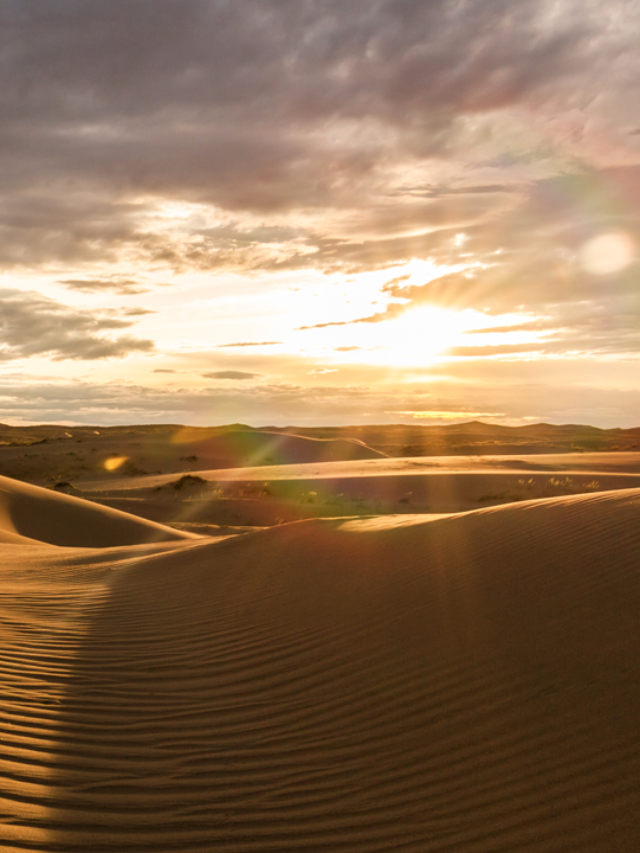 Bikaner – The Camel Country